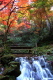 加茂山公園・神池から東屋付近