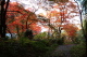 加茂山公園・諏訪神社付近