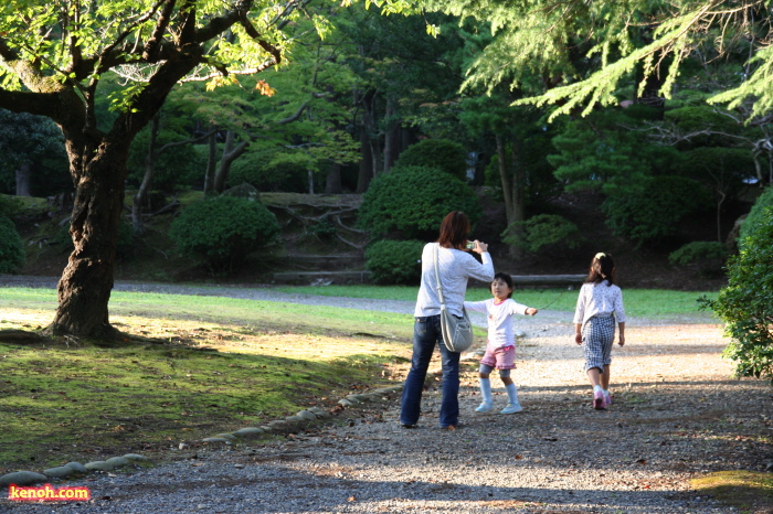 弥彦公園