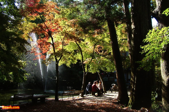 加茂山公園の紅葉