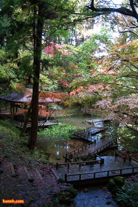 加茂山公園の紅葉