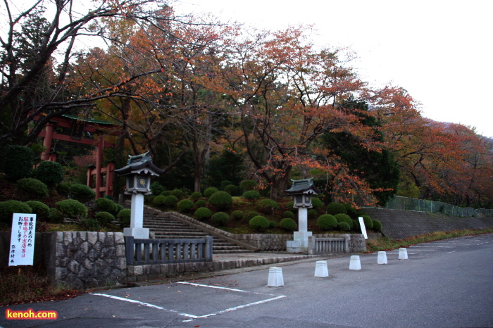 弥彦神社東参道側の大駐車場はサクラが紅葉