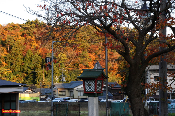 外苑坂通りもあちこちで紅葉