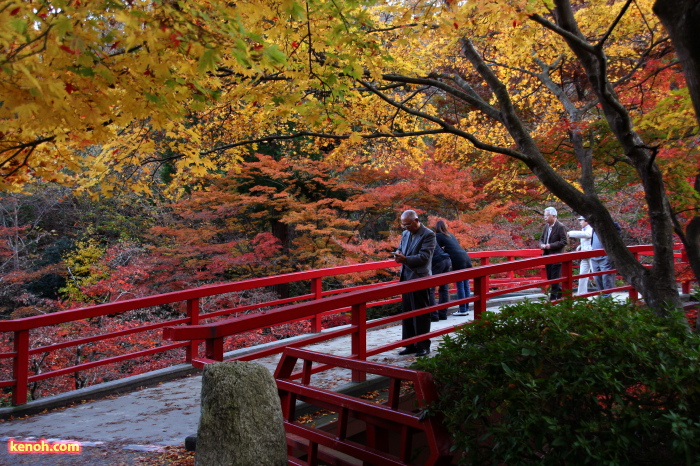 紅葉が盛りのもみじ谷