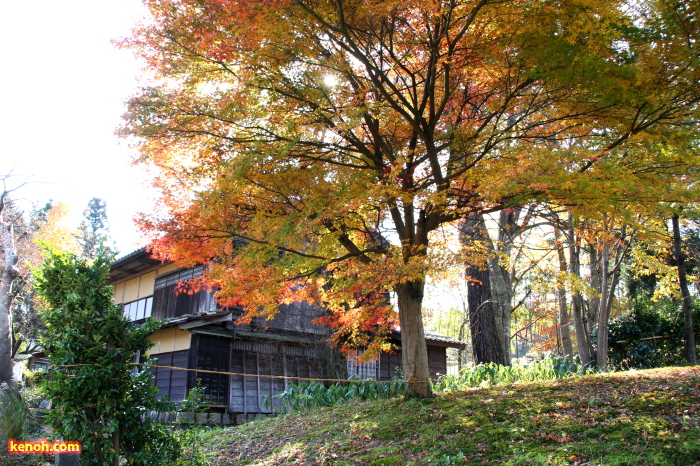 諸橋轍次博士生家そばの紅葉2