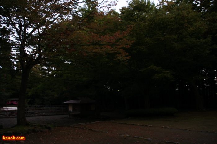 弥彦神社