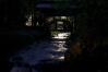 弥彦神社