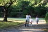 弥彦公園