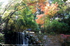 加茂山公園の紅葉