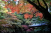 加茂山公園の紅葉