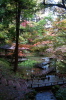 加茂山公園の紅葉