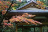 加茂山公園の紅葉