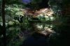 弥彦公園のライトアップ