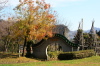 諸橋轍次記念館の楷の木(孔子木)の紅葉