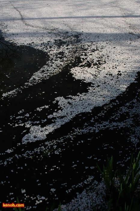 南魚沼市坂戸・銭淵公園