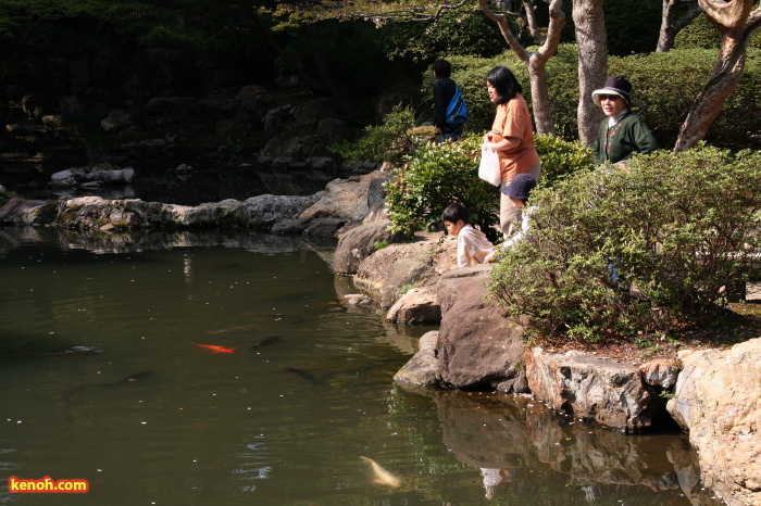 弥彦公園の池