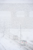 三条市上須頃、季節はずれの本格的な雪