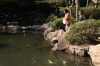 弥彦公園の池
