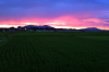 25日の夕焼け、三条市上須頃地内から