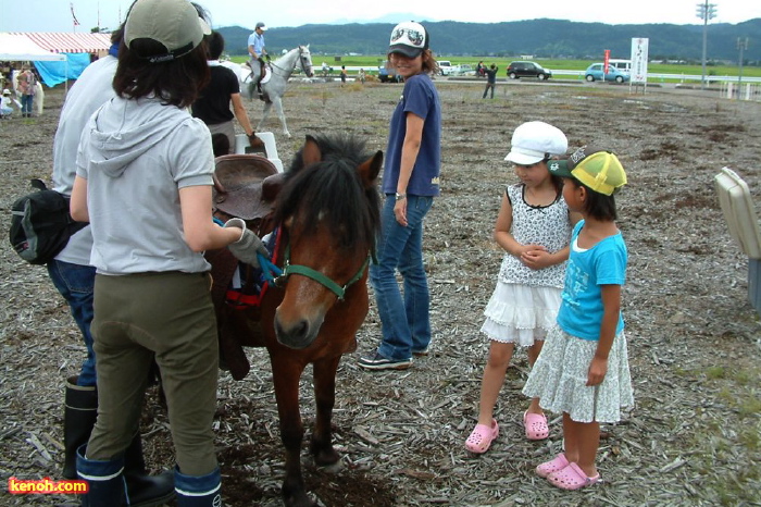 栄ふるさと夏まつり2009／ポニー乗馬体験