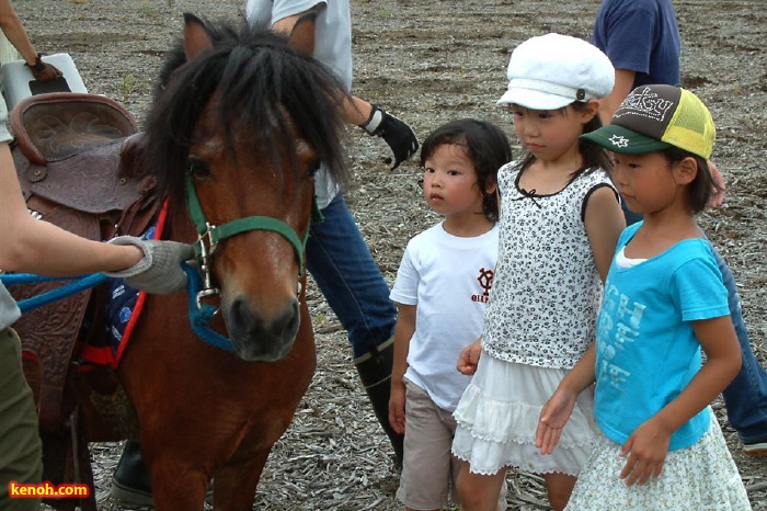 栄ふるさと夏まつり2009／ポニー乗馬体験