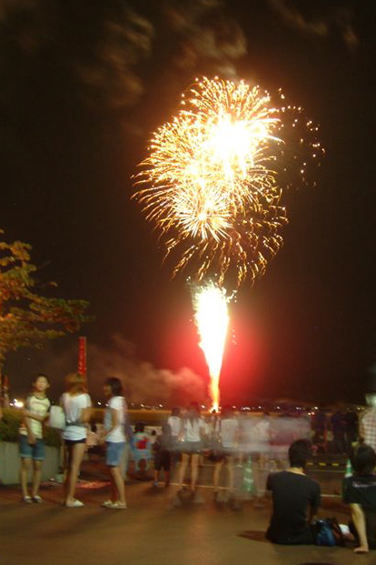 栄ふるさと夏まつり2009／大花火大会