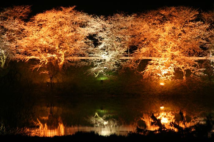 燕消防署前の中ノ口川左岸