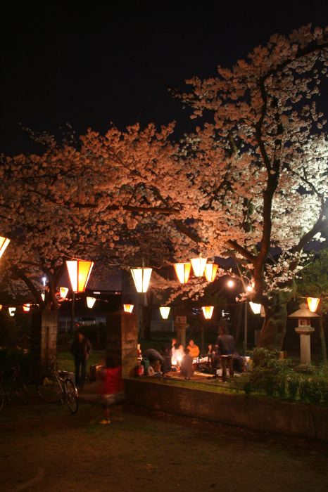 三条市・八幡公園