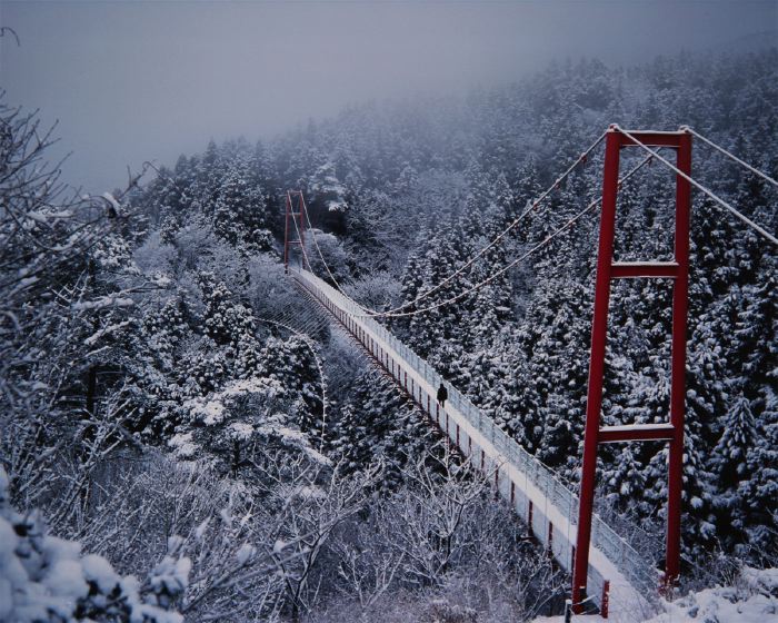 写真／新潟日報美術振興賞「寒い朝」小林　高治（下粟生津）