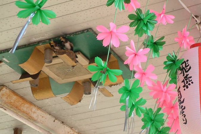 燕市・飛燕夏まつり、商店街のツバメの巣