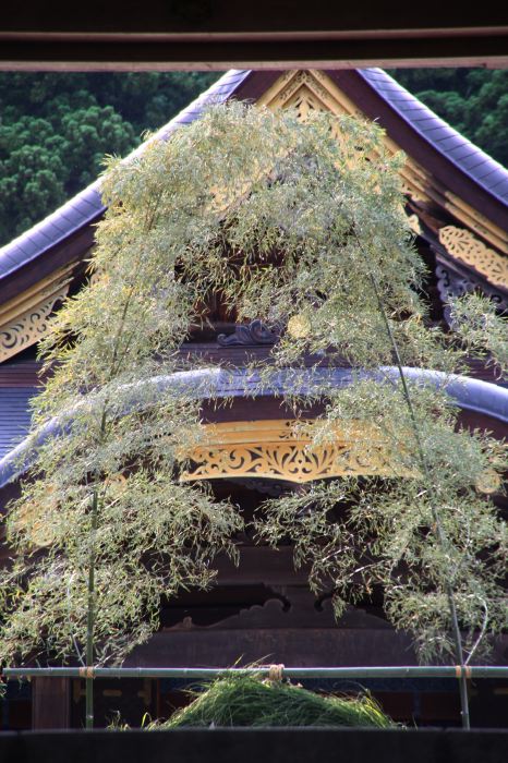 弥彦神社で茅の輪まつり