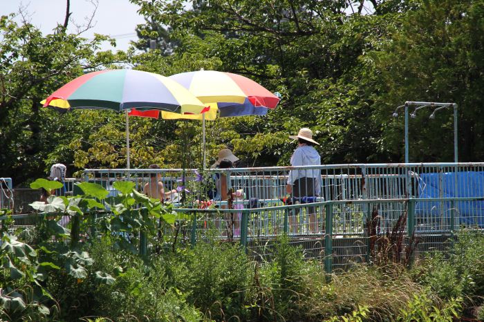 三条市の保育所のプール