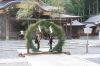 弥彦神社で茅の輪まつり