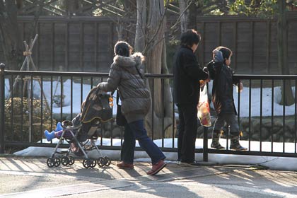 本成寺の堀の池