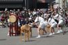 三小相承会の太鼓