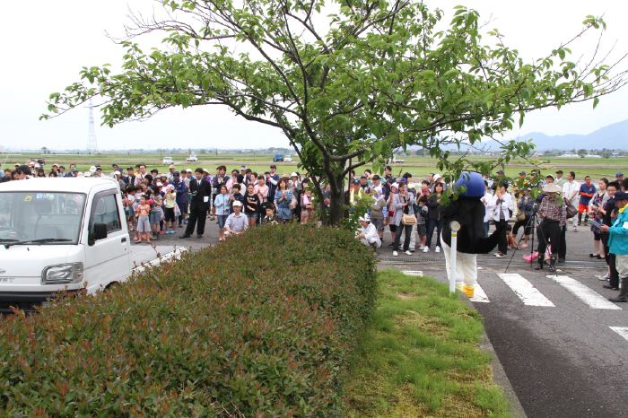 田んぼアートの田植え