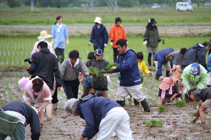 田んぼアートの田植え