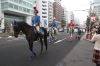 青山祭の青山パレードを先導する警視庁騎馬隊