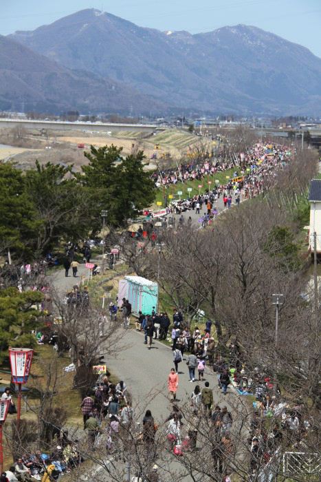 信濃川大河津資料館4階展望室からおいらん道中がスタートする前の桜土手