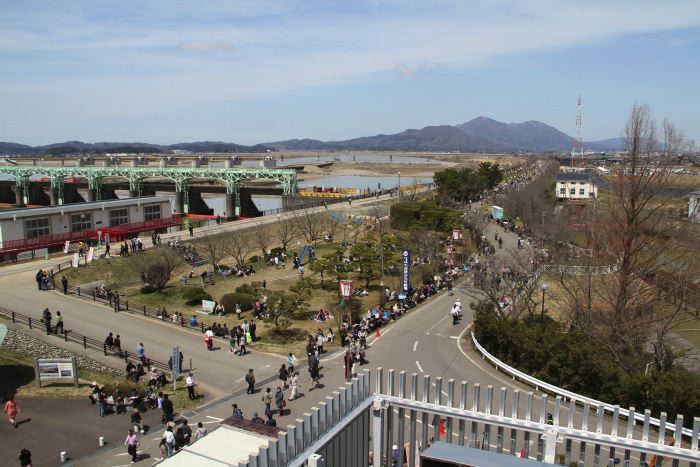 信濃川大河津資料館4階展望室からおいらん道中がスタートする前の桜土手