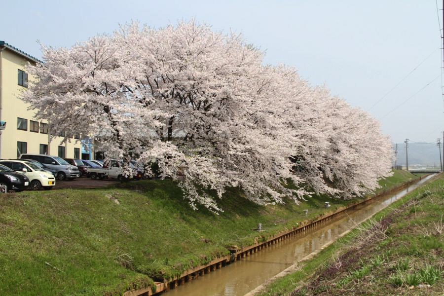 金子新田工業団地