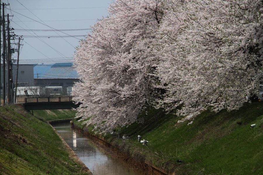 金子新田工業団地