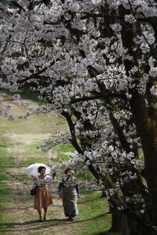 三条市水道局大崎浄水場