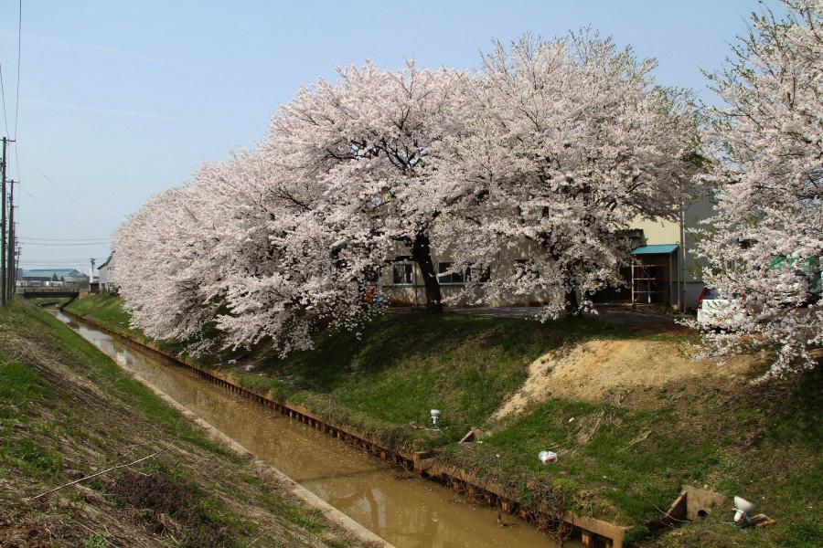 金子新田工業団地