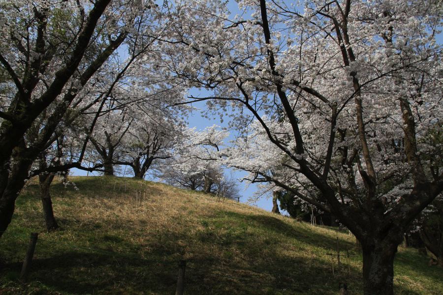 三条市水道局大崎浄水場