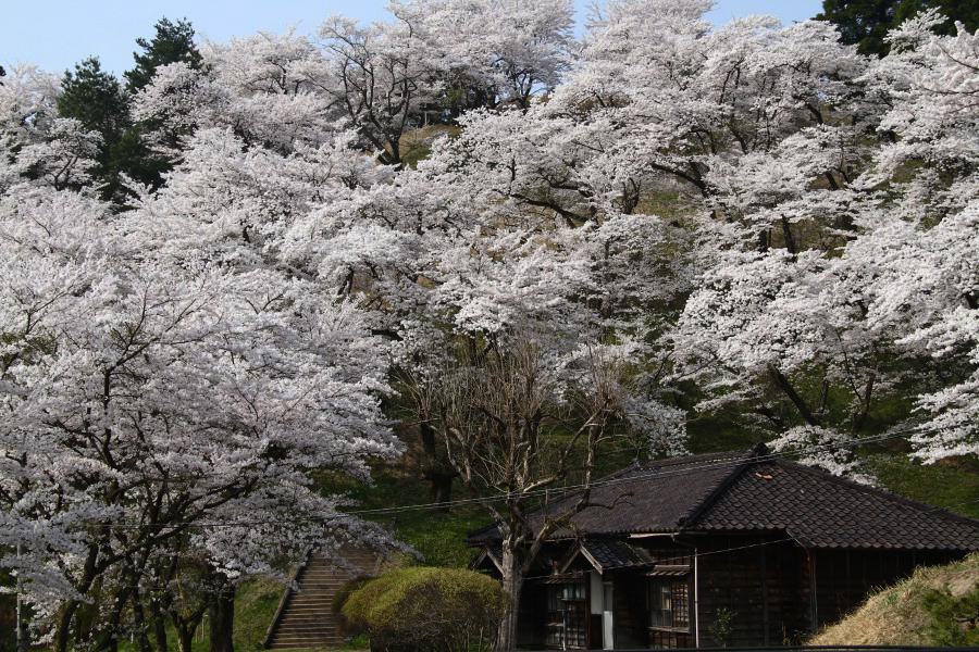 三条市水道局大崎浄水場