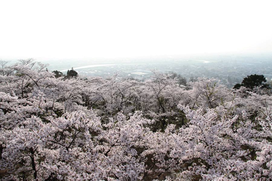 大崎山公園