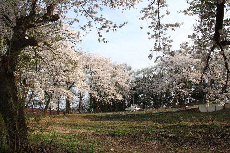 大崎山公園