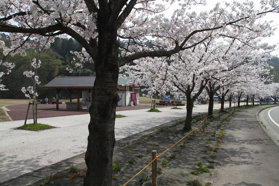 三条市総合運動公園