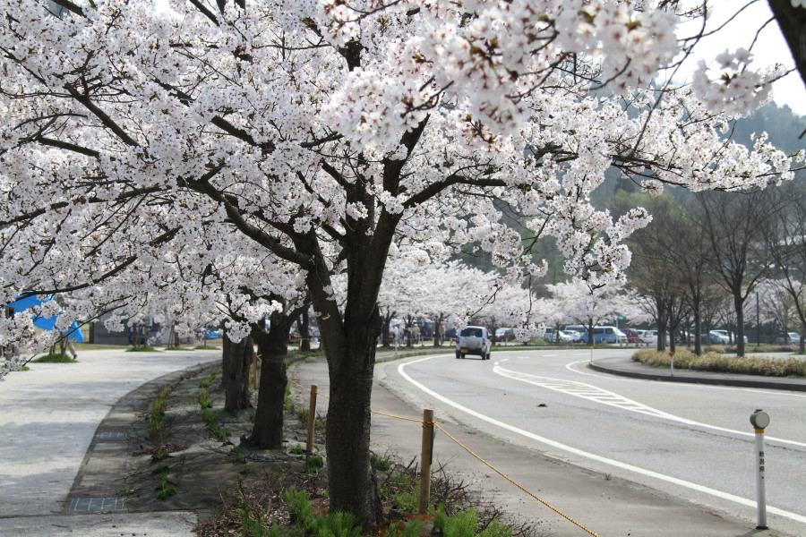 三条市総合運動公園